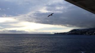 Madera (in portoghese Madeira) è un arcipelago di isole di origine vulcanica, situato nell'Oceano Atlantico, 545 km a nord ovest della costa africana._5